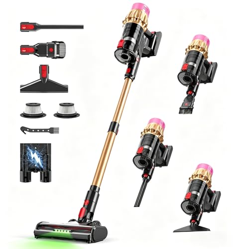 Sacs aspirateur rechargeable, or rose, poils animaux