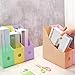 Colarr 30 Pack Coloring Plastic Magazine Holders 5 Light Colors Magazine Storage Box File Organizer Folder Book Bin for Desk Desktop Document Organizer for Office Classroom