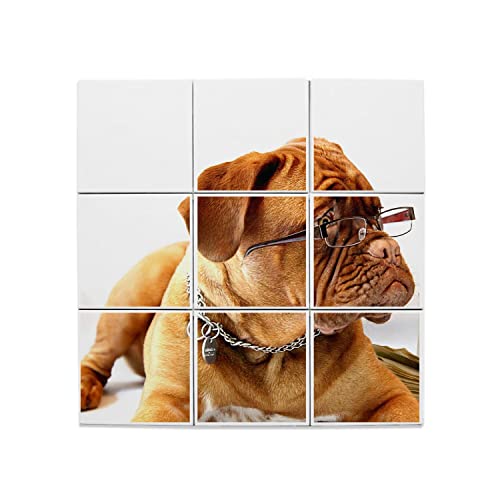 Carreaux céramique bulldog français pour habiller le mur de votre bureau