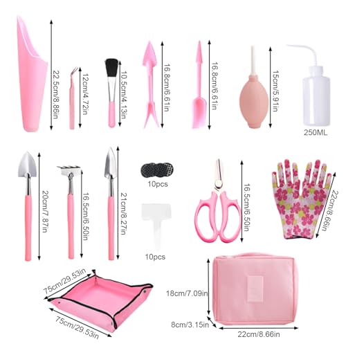 Kit d'outils de bonsaï miniature ensemble pour jardinage d'intérieur