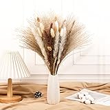 🌾 【Pampas secas decoracion】60 piezas de hierba de pampa seca natural, incluyendo 35 piezas de pampas secas, 10 colas de conejo (5 colores primarios + 5 blancos) 10 cañas de colores primarios, 5 cañas blancas. Florero no incluido.