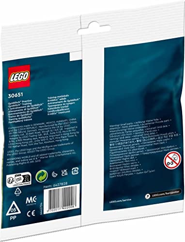 LEGO Disney Princess 30651 Quidditch Vaiana - vue 3