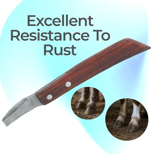 Image of 7 Inch Swiss Hoof Knife Double Edged - Stainless Steel Curved Blade Farrier Tool with Round Wooden Grip, Multipurpose Hoof Trimming Knife for Livestock.