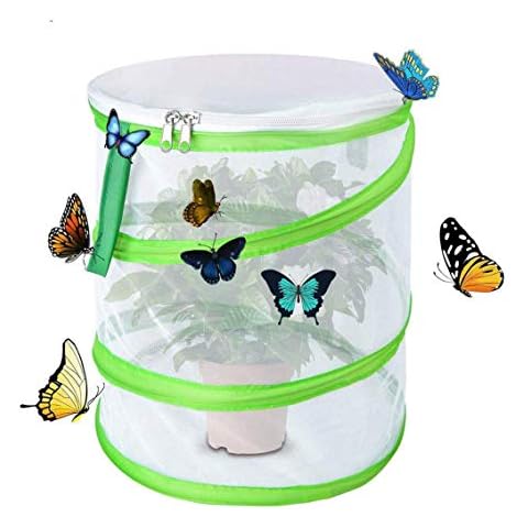 iPobie Butterfly Habitat Insect Cage,Collapsible Bug Catcher Net,Round Pop Up Mesh Net (Small Size) Cover