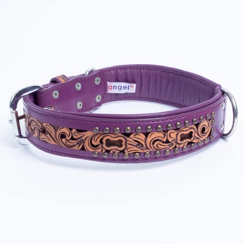 Genuine Leather San Antonio Dog Collar | Perfect For Medium, Large & Xl Dogs | Stainless Steel Buckle | Strong, Real Argentinean Leather | Handmade | Multiple Colors And Sizes By Angel Pet Supplies #TOP1
