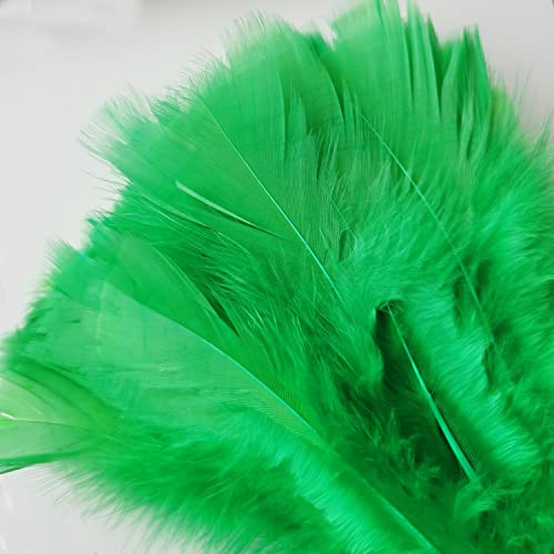 Image of Turkey Feather Dusters for Cleaning Home Blinds Kitchen car Office, Eco-Friendly Reusable (2 pcs Green)
