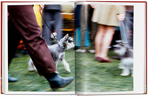 Dogs: Photographs 1941-1991