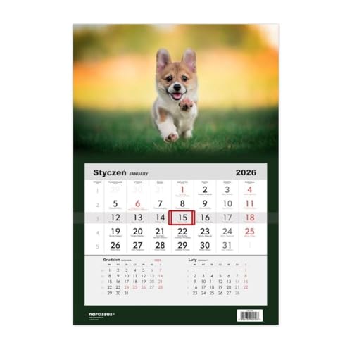 Kalendarz 2026 Jednodzielny Pies corgi