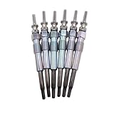 Lot de 6 bougies de préchauffage diesel SHLPDFM 12230035934 12237786869 0250402002
