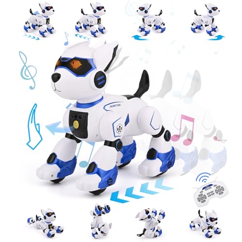 Diealles Shine LZLT-JQGblue Roboterhund