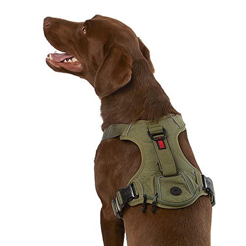 KONG Ultra Durable Waste Bag Harness (Medium Green)