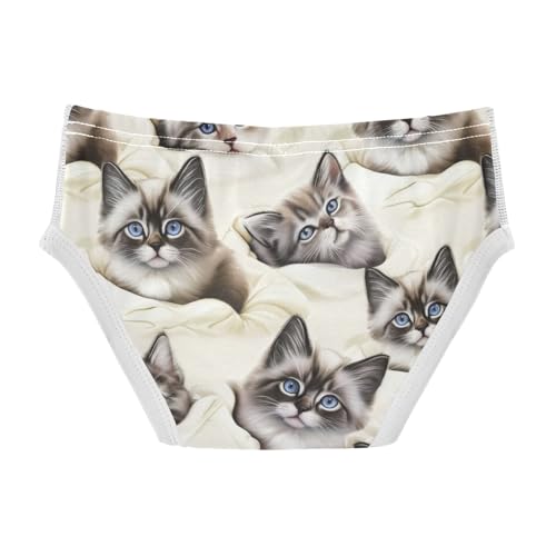 CHIFIGNO Underwear for Boys Cute Cats Cream Cotton Boys Briefs Soft Printed Briefs Underwear2