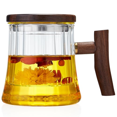 Unbreakable Taza de té de vidrio con infusor y tapa, taza de té de 16 onzas para té de hojas sueltas, taza de infusión con filtro de vidrio y tapa de madera