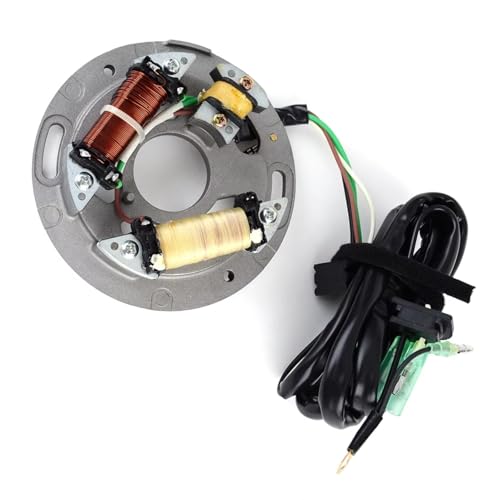Bobine de stator d'allumage pour résoudre les pannes de démarrage WR650