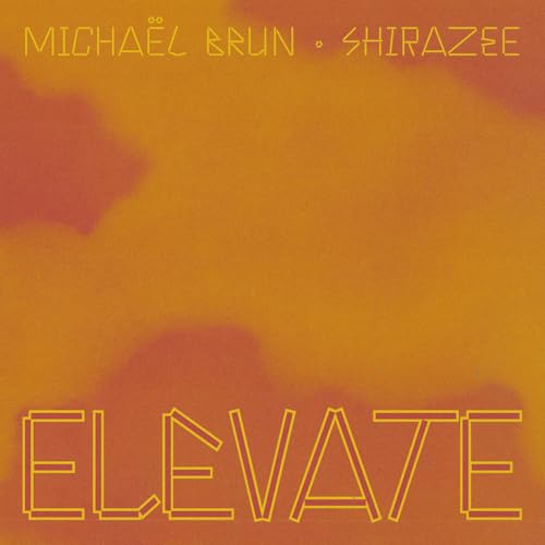 Michael Brun & Shirazee