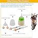 YeulYuuri Pet Feeding Bottle and Syringe Set for Puppies and Kittens(1 Bottles,2 Syringes,6 Nipples) Green