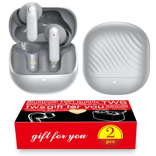 Image of 2 Pack ANC Wireless Earbuds with Big Bass Durable, Lightweight Design for Noisy Factories, Gym, and Travel, Includes 3-Size Tips for Secure Fit