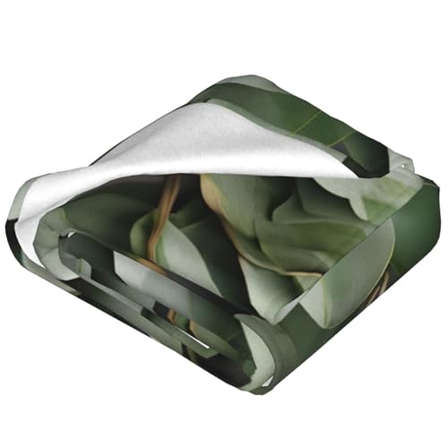 Couverture polaire chaude lit canapé plaid doux imprimé eucalyptus