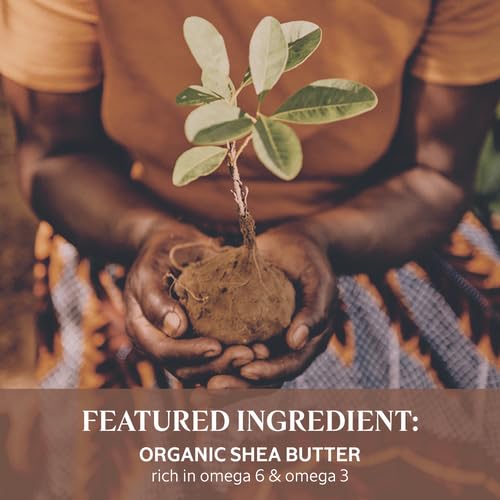 L'occitane Extra-Gentle Lotion: Moisturizing, Comfort Skin, Fast-Absorbing Lotion, With 5% Organic Shea Butter, Fresh Scent, Vegan #TOP2