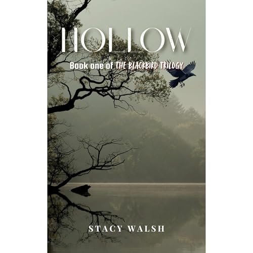 Hollow Audiolibro Por Stacy Walsh arte de portada