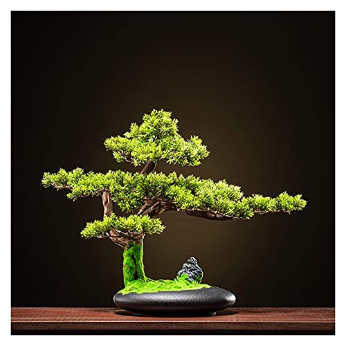 MEVZHH Fiori Artificiali, Piante Artificiali 16 Pollici Albero Artificiale Di Bonsai, Falsa Pianta Verde Di Simulazidi Pino Di Benvenuto, Albero Falsor la Decorazidel Portico Del Desktop.Albero Di Sim