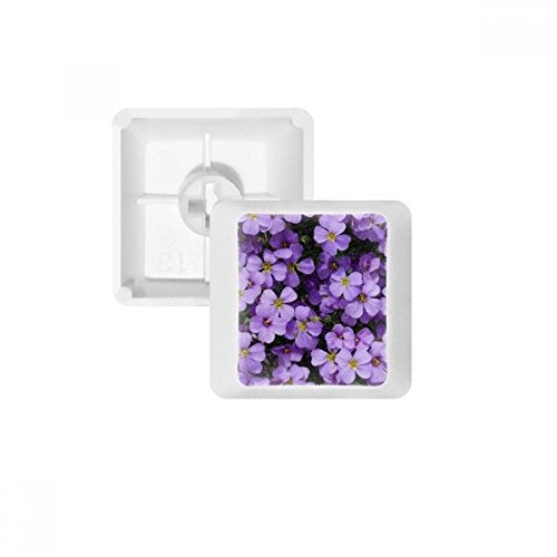 Keycaps PBT violet élimine les touches brillantes sur votre clavier blanc