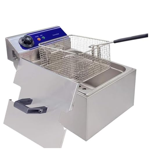 DULONG Commercial Electric Deep Fryer Countertop Stainless Steel Deep Fryer with Temperature Control Single Large Tank French Fries for Restaurant Home Kitchen (2000W 10L)