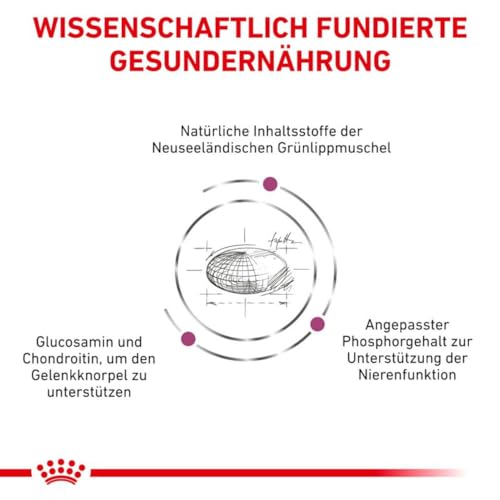 Royal Canin Diät Katze Mobility 400 g | Trockennahrung für Katzen | Alleinfuttermittel für ausgewachsene Katzen