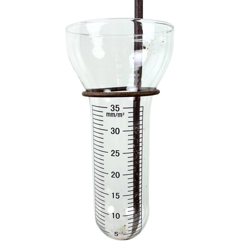 Pluviomètre à Piquer Tuteur à Plantes Déco de Jardin Corbeau Parapluie Vert en Acier et Verre 10x18x132cm