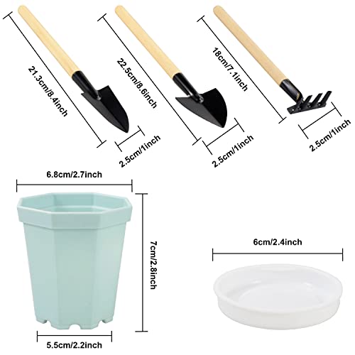Linyona 24 Packs Succulent Pots, Plastic Plant Pots With Saucers, 3 Inch Mini Flower Pots 4 Colors Small Pots For Plants With Drainage Holes And 3 Garden Tools For Indoor Outdoor Plants #TOP3