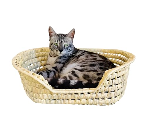 COSHANO Cesta Cama para Gatos y Perros en Palma Trenzada. Moisés para Animales Mascotas. Cama para Gatos de Mimbre. Fabricado a Mano Cada Cama es Unica (48x40x16 Marron)