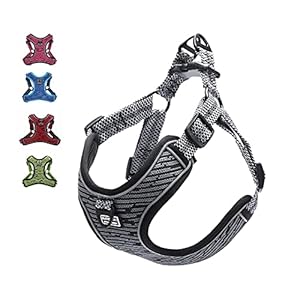 Suredoo Adjustable Dog Harness with Front Clip, No Pull Soft Mesh Padded Reflective Breathable Pet Vest Harness for Small Medium Large Dogs (M, Grey)