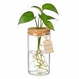HOMSFOU Plant Propagation Station