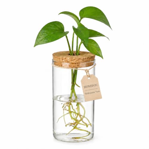 Plant Propagation Stations, Glass Hydroponic Vase with Cork Lid