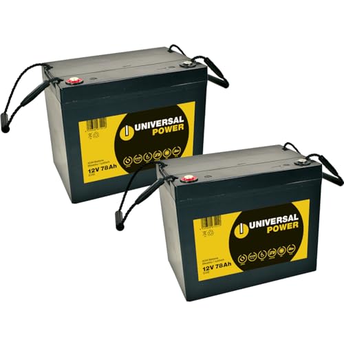 Ersatzakku für Vermeiren Carpo 4 Elektromobil 2 x 12LC-75 12V 77 Ah zyklenfeste AGM Batterie