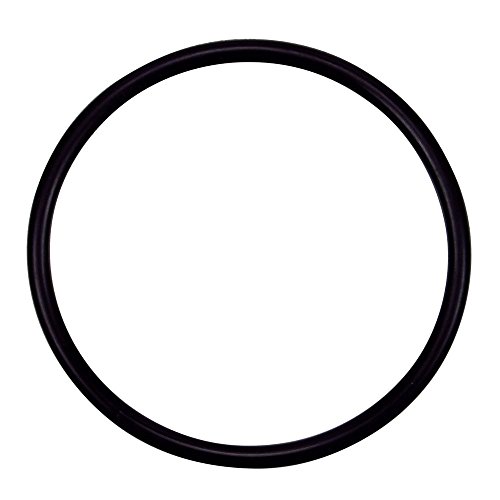Pentair 355330 Strainer Pot Flange O-Ring Replacement Pool/Spa Pump, Filter and Skimmers
