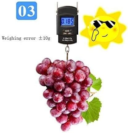 Household Small Luggage Scale Portable High Precision Spring Electronic Scale Scales