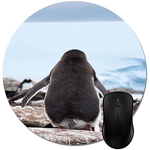 Preisvergleich Produktbild Rundes Mauspad Schatten der Pinguine Mauspad, Naturkautschuk langlebiges Computer-Schreibtisch-Bürozubehör