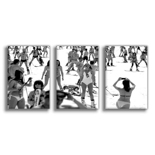 Poster sur toile ski gris 50x75 cm pour décoration de chambre