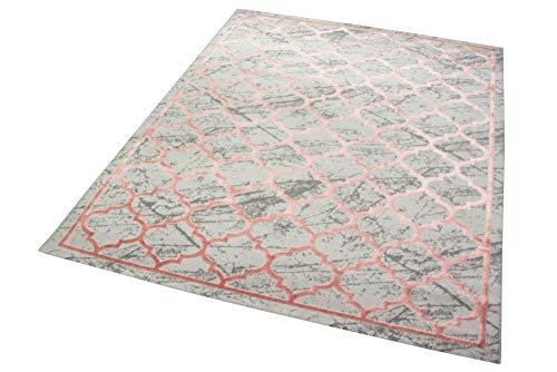 CARPETIA Teppich Wohnzimmerteppich marokkanisches Muster grau rosa Größe 80x150 cm – Bild 3