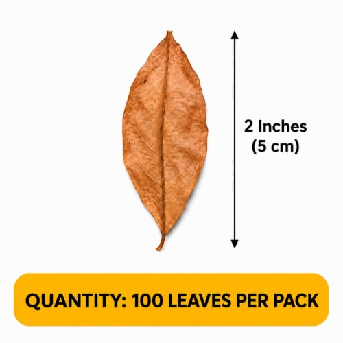 Image of SunGrow Mini Catappa Leaf Litter for Frogs, Increases Humidity, Ideal Hunting Ground for Fierce Frogs, Makes Terrarium Feel Like Home, Easy Maintenance, A Must for Dart Tadpoles, 100 Pcs