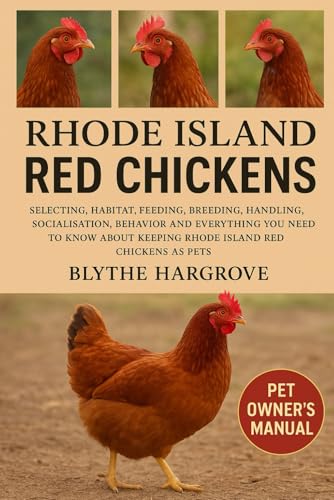 Rhode Island Red Chicken: Selecting, Habitat, Feeding, Breeding, Handling, Socialization, Behavior and Everything You Need to Know About Keeping Rhode Island Red Chickens as Pets.