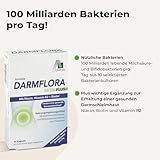 Avitale Darmflora Aktiv Plus mit 100 Mrd. Milchsäure– & Bifidobakterien aus 10 selektierten Stämmen und Vitamin A, B1, B2, B6, Biotin, Folsäure & Niacin, 40 Kapseln