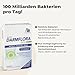 Avitale Darmflora Aktiv Plus mit 100 Mrd. Milchsäure– & Bifidobakterien aus 10 selektierten Stämmen und Vitamin A, B1, B2, B6, Biotin, Folsäure & Niacin, 40 Kapseln