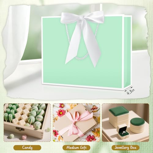Image of JMANNI Gift Bags with Handles, 13 inch Medium Gift Bag for Presents, 1 Pcs Bags with 2 Tissue Paper and 1 Cards for Baby Shower Wedding Bridal Shower Mother's Day Birthday Party (Green)