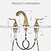 YANNLII Antique Brass Widespread Bathroom Sink Faucet,Two Handle Three Hole Brass Lavatory Vanity Faucet,8-16 Inch Basin Mixer Tap with Pop Up Drain Assembly