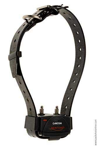 Dressage de chiens avec le Canicom 1500