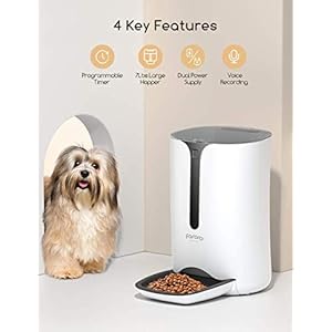 Automatic cat feeder faroro dog food dispenser for small pets with distribution alarms portion control voice recorder and programmable timer for up to 4 meals per day  urban country home decor