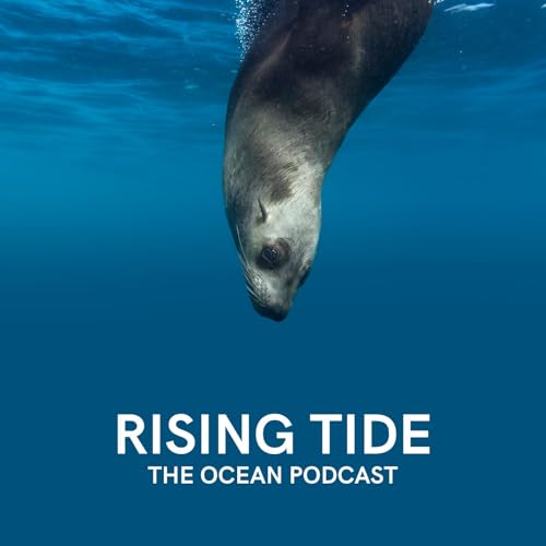 『Kirsten Donald — A Voice for the Ocean's Mammals』のカバーアート