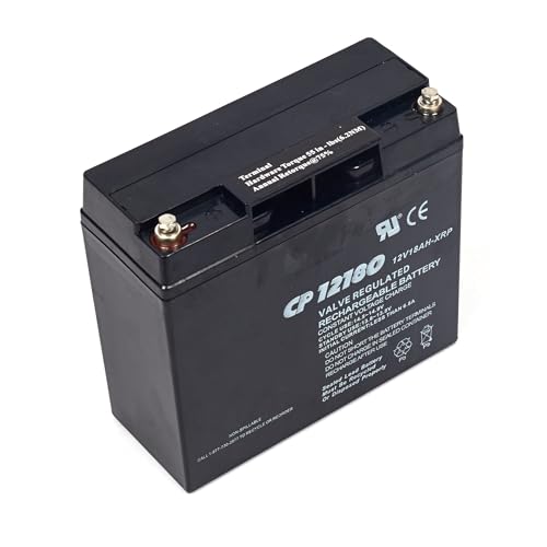 Briggs & Stratton 193043GS Battery Replaces 193463